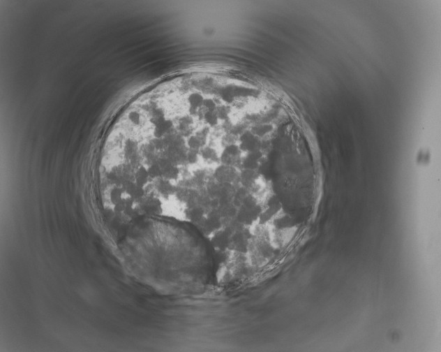 X0000116570337201001211248