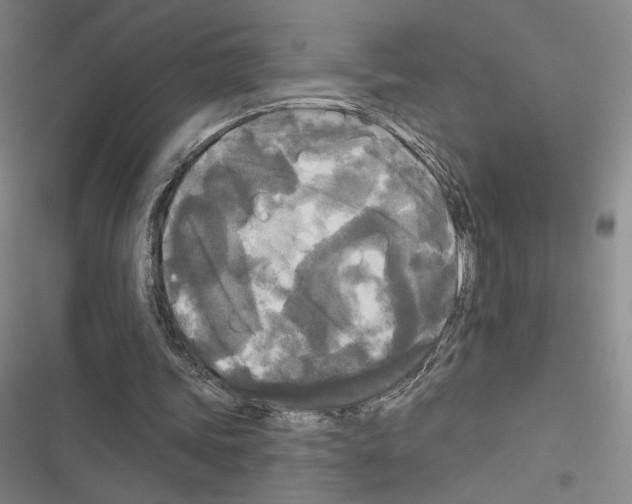 X0000116570339201001211248