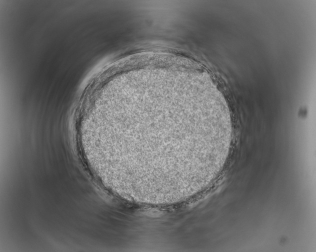 X0000116570341201001211248