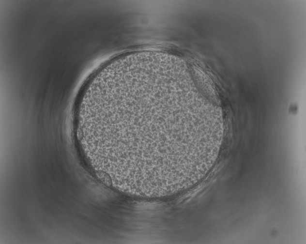 X0000116570342201001211248