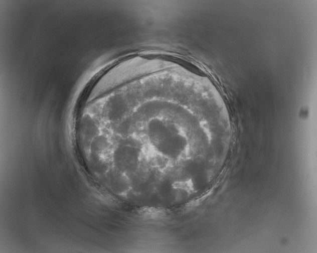 X0000116570343201001211248