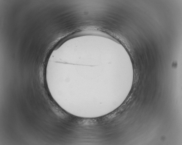 X0000116570345201001211248