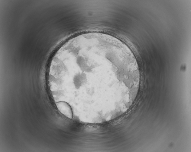 X0000116570346201001211248