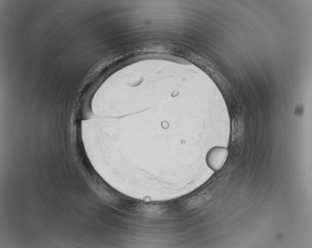 X0000116570349201001211248