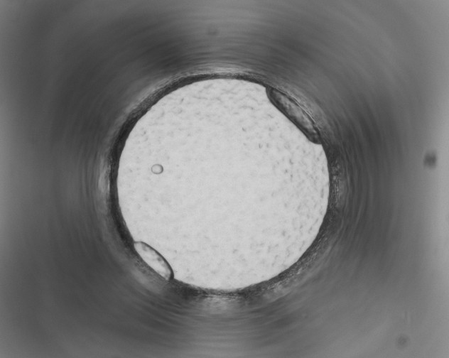 X0000116570350201001211248