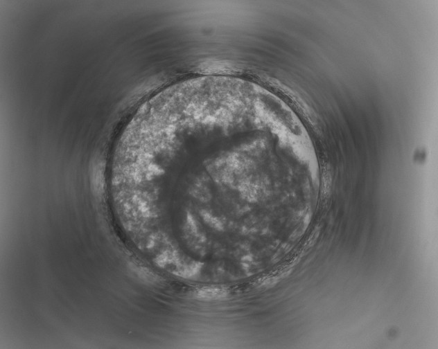 X0000116570353201001211248