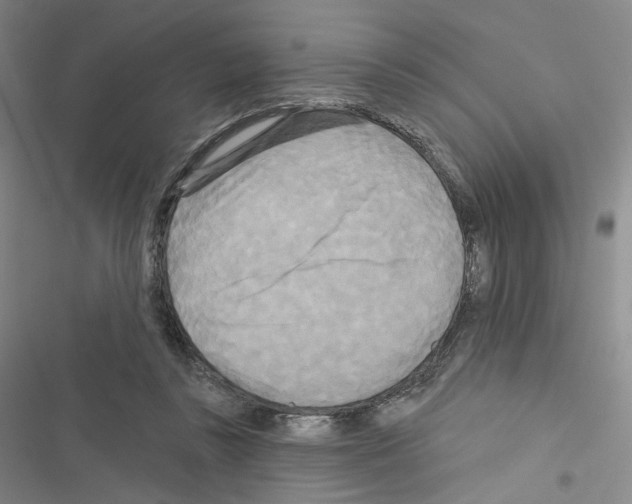 X0000116570355201001211248