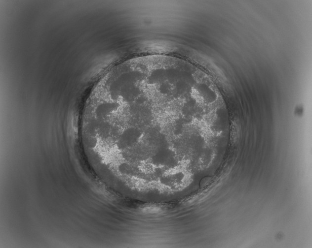 X0000116570358201001211248