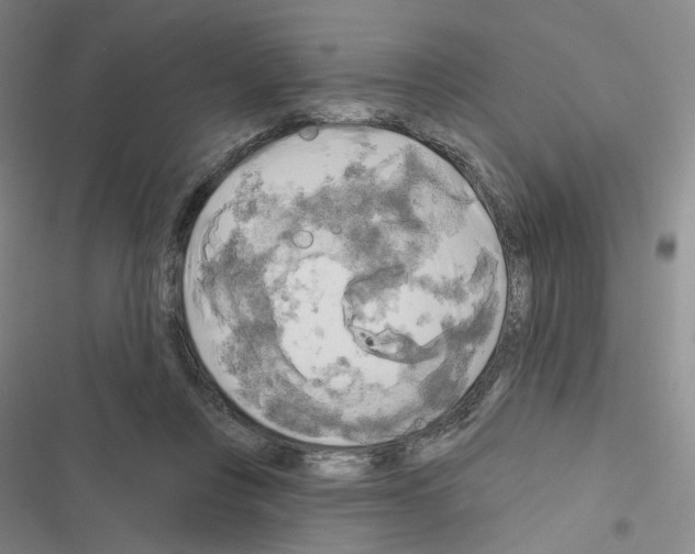 X0000116570359201001211248