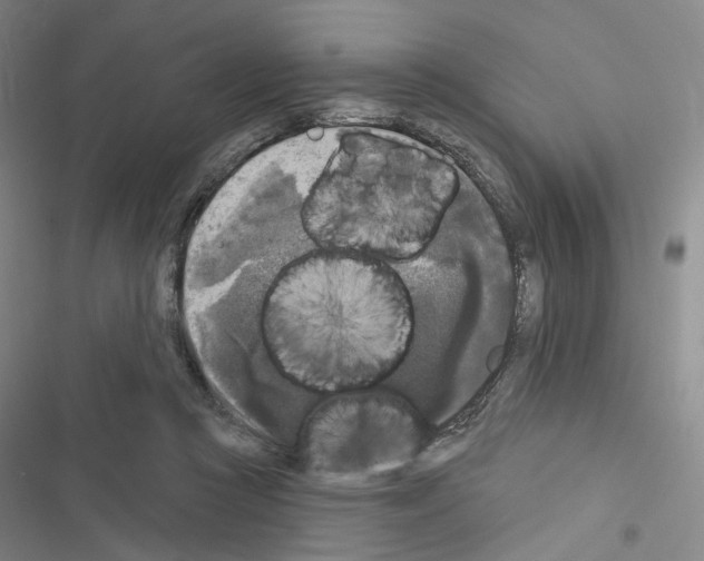 X0000116570361201001211248