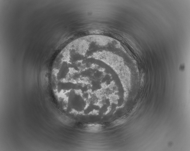 X0000116570363201001211248