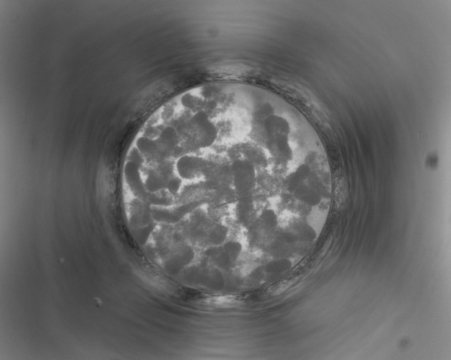 X0000116570365201001211248