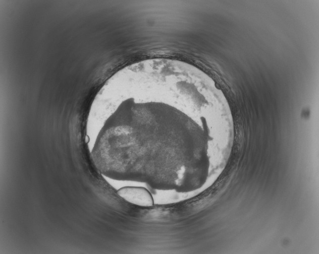 X0000116570366201001211248