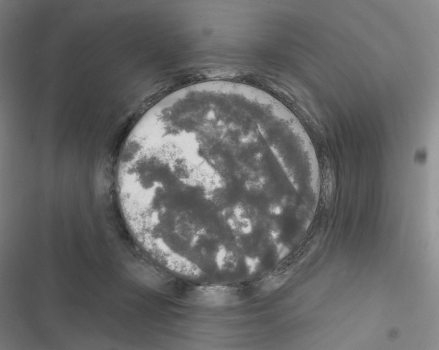 X0000116570367201001211248