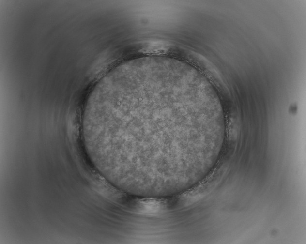 X0000116570370201001211248