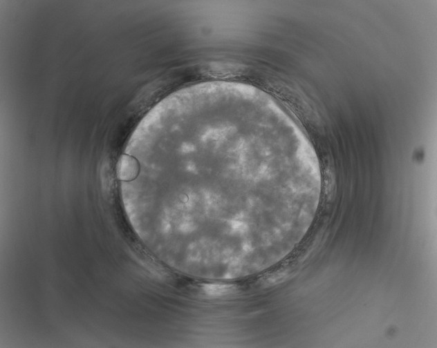 X0000116570371201001211248