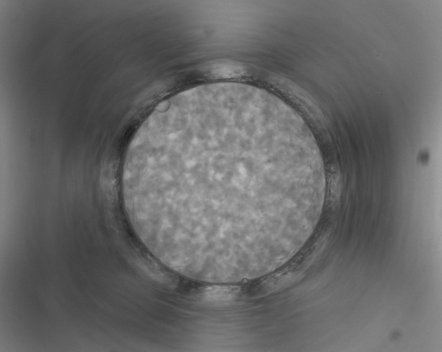 X0000116570373201001211249