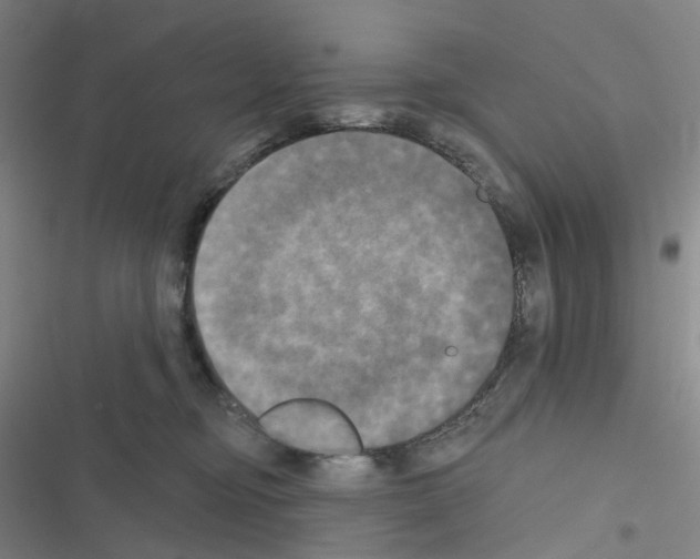 X0000116570374201001211249