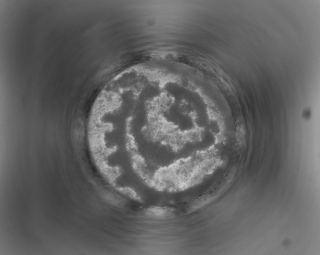 X0000116570375201001211249