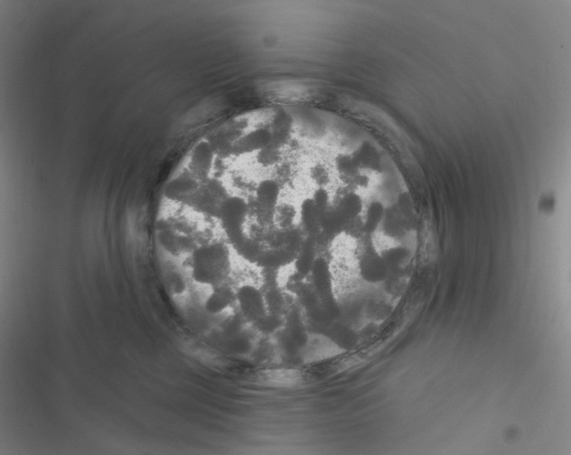 X0000116570377201001211249