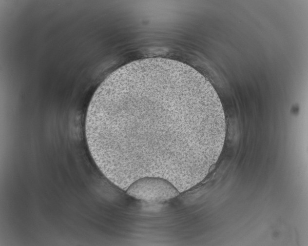 X0000116570378201001211249