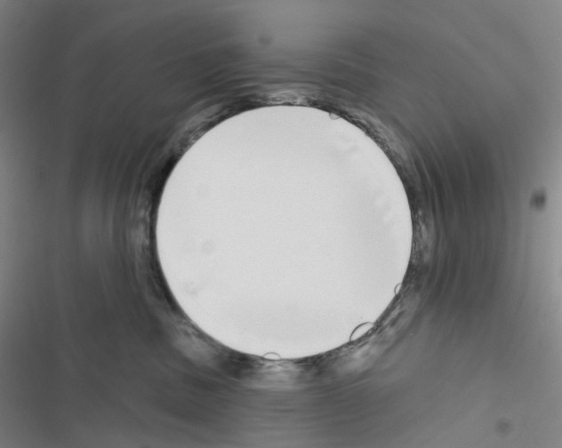 X0000116570379201001211249