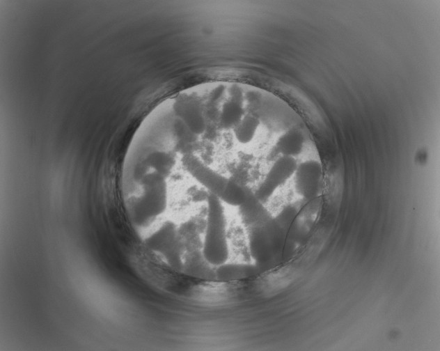 X0000116570381201001211249