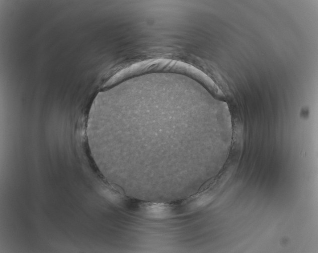 X0000116570383201001211249