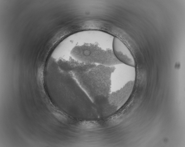 X0000116570386201001211248