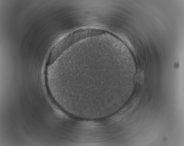 X0000116570389201001211248