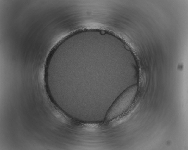 X0000116570391201001211248