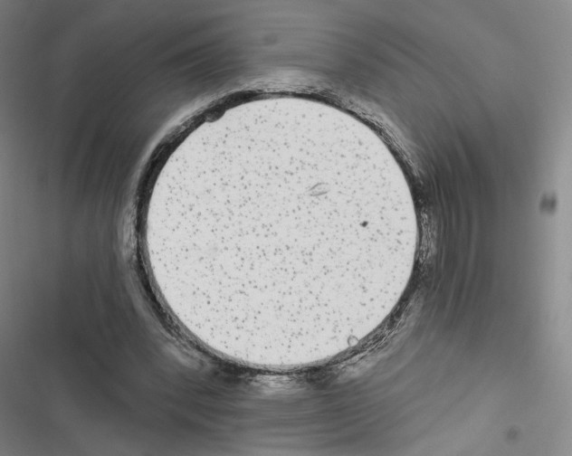 X0000116570392201001211248