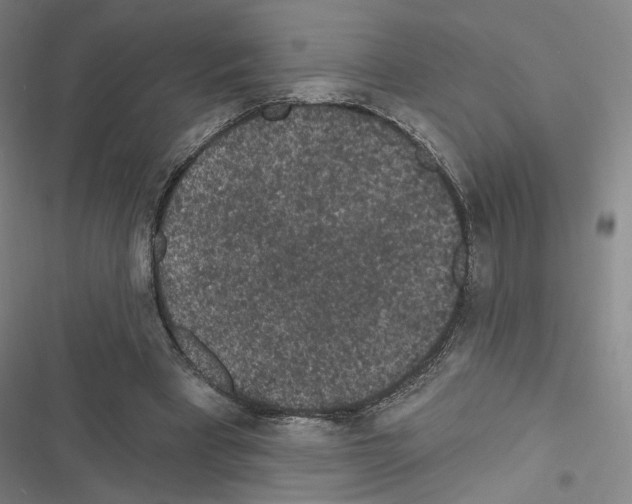 X0000116570393201001211248