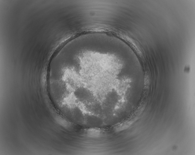 X0000116570394201001211248