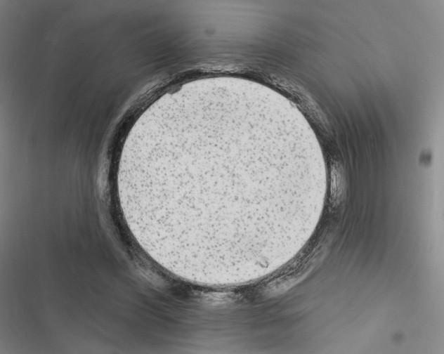 X0000116570396201001211248