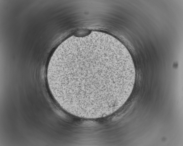 X0000116570397201001211248