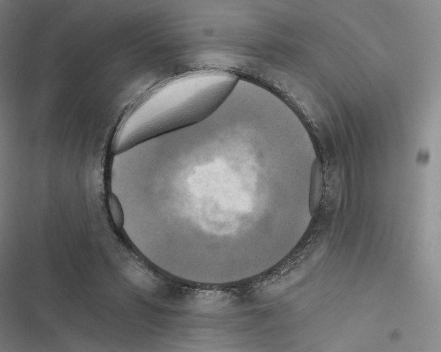 X0000116570399201001211248