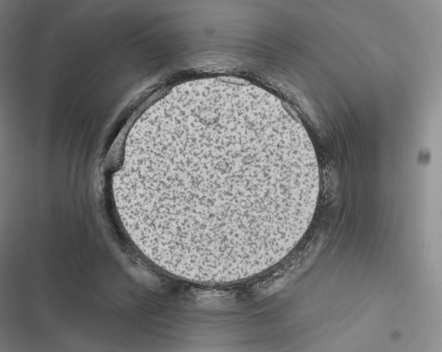 X0000116570400201001211248