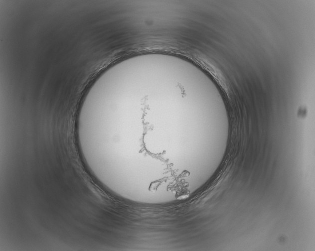 X0000116570401201001211248