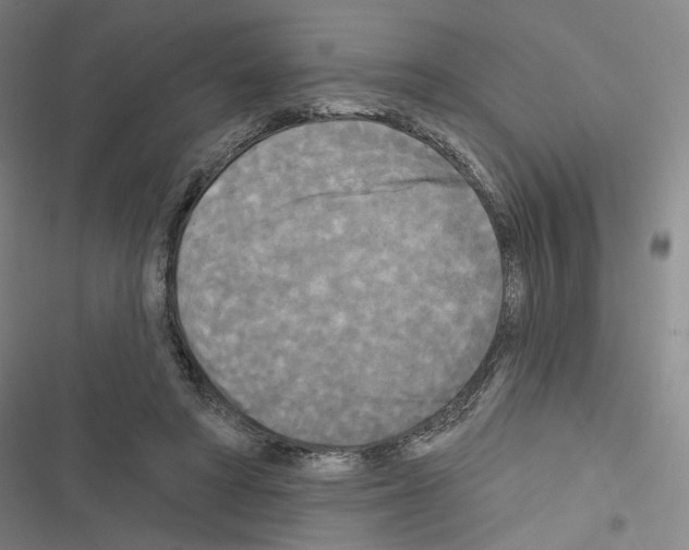 X0000116570402201001211248