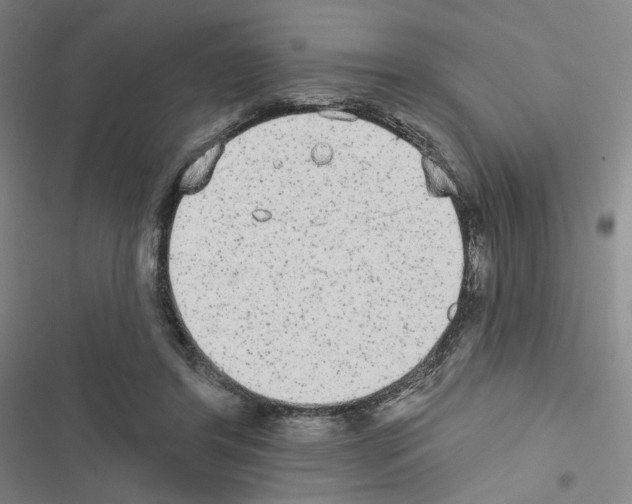 X0000116570404201001211248