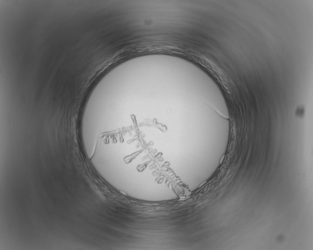 X0000116570405201001211248