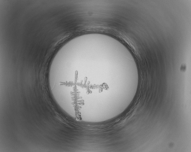 X0000116570407201001211248