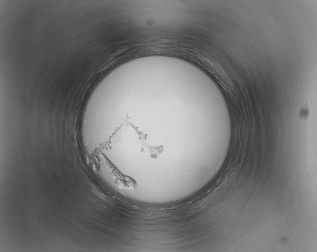 X0000116570409201001211248