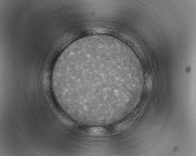 X0000116570410201001211248