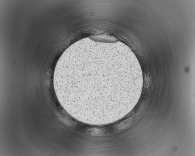 X0000116570412201001211248