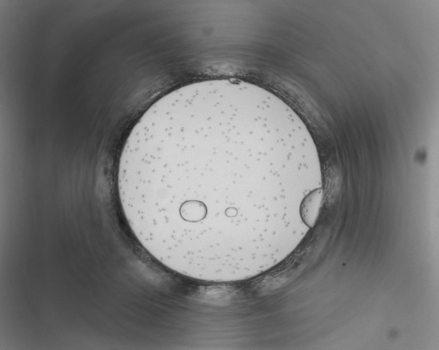 X0000116570414201001211248