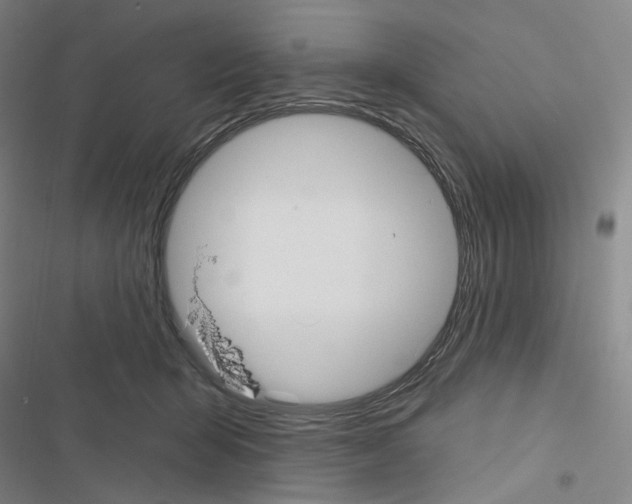 X0000116570415201001211248