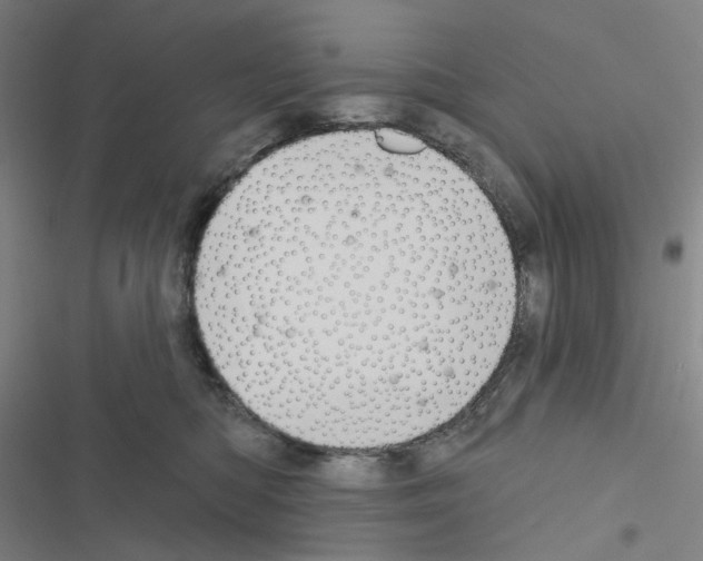 X0000116570422201001211247