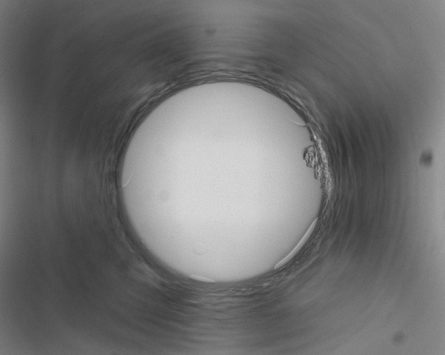 X0000116570423201001211247